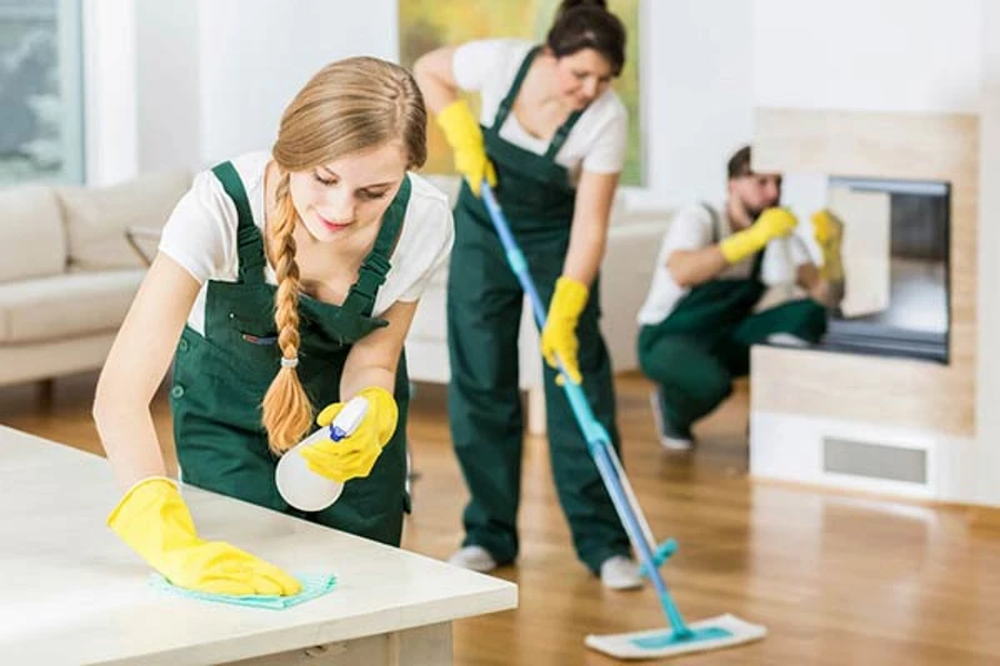 Professional Deep Cleaning in La Vergne, TN Professional Deep Cleaning in La Vergne, TN